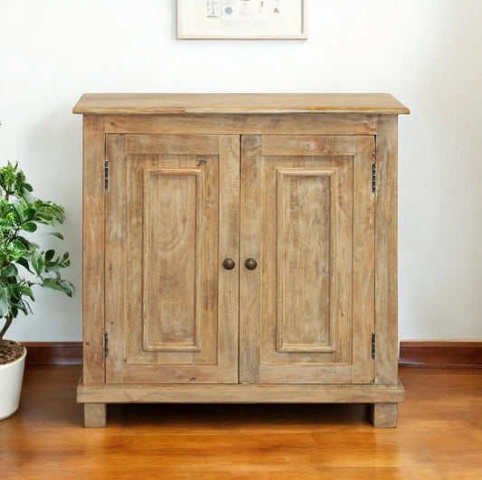 Wooden cabinet with two doors on a wooden floor with a plant in the background