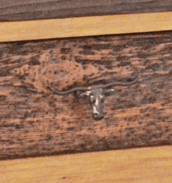 Close-up of a wooden surface with a metal clasp