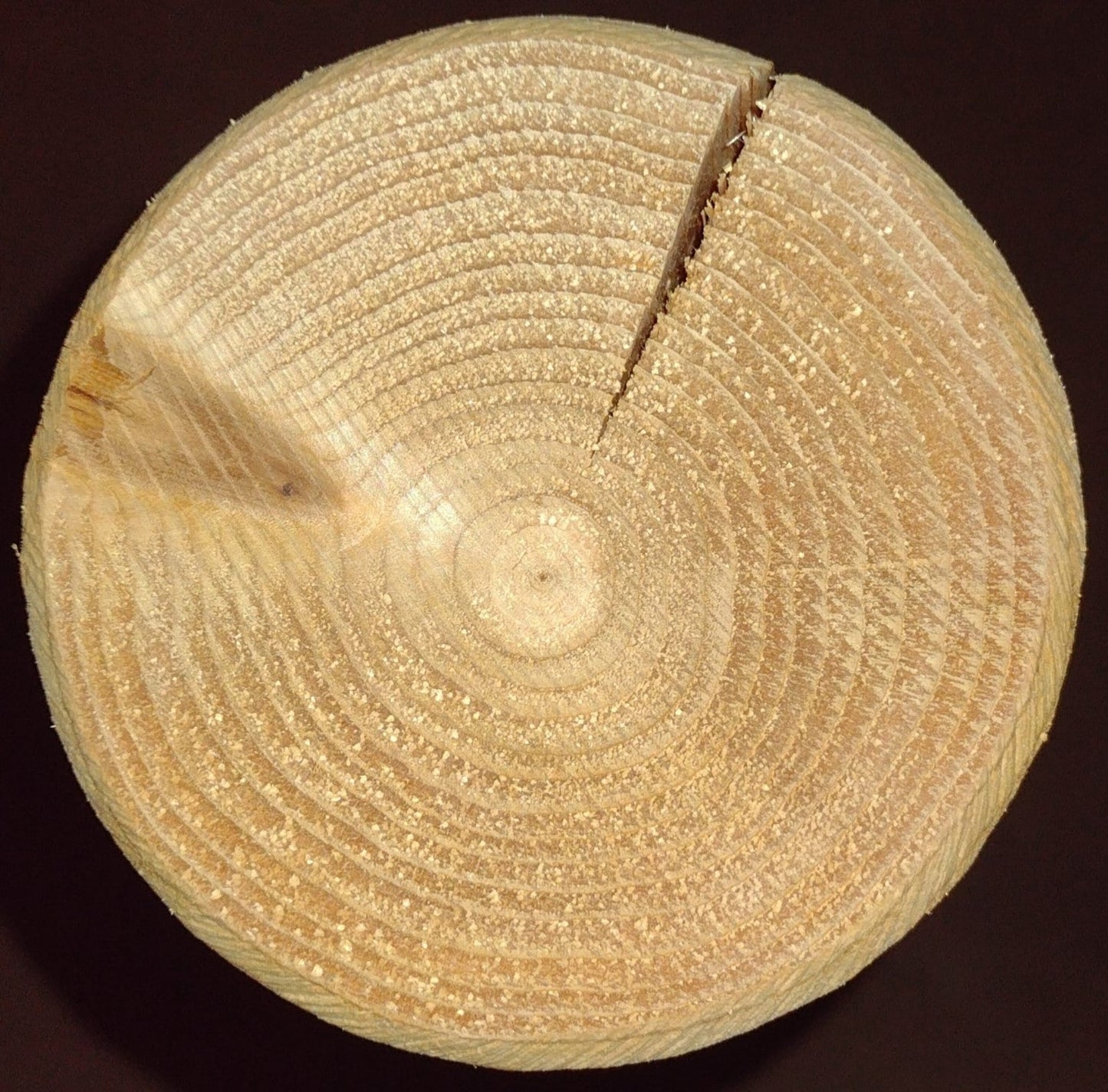 Wooden log with visible annual rings on a dark background